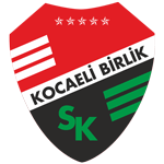 Körfez Spor