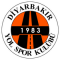 Diyarbakır Yolspor