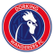 Dorking Wanderers