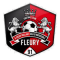 FC Fleury 91 Coeur d'Essonne