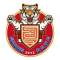 Guangdong South Tigers