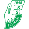 Pelikan