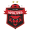 Wollongong Wolves