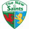 The New Saints